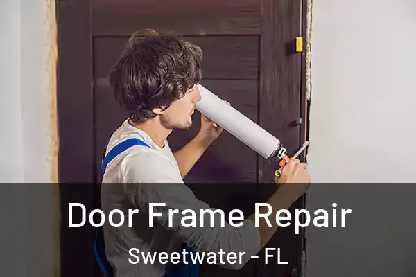 Door Frame Repair Sweetwater - FL