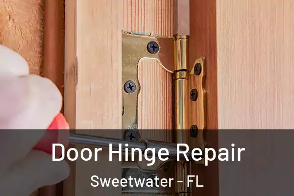 Door Hinge Repair Sweetwater - FL