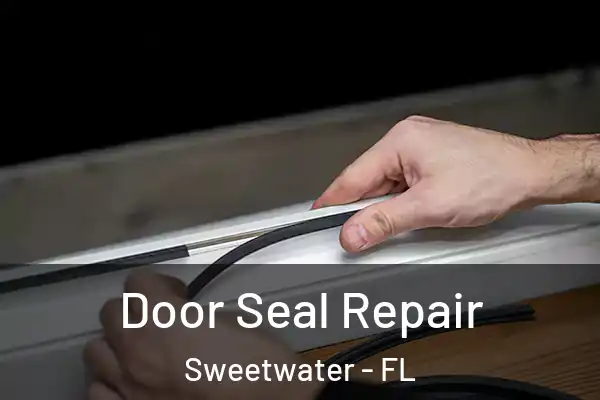 Door Seal Repair Sweetwater - FL