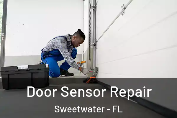 Door Sensor Repair Sweetwater - FL