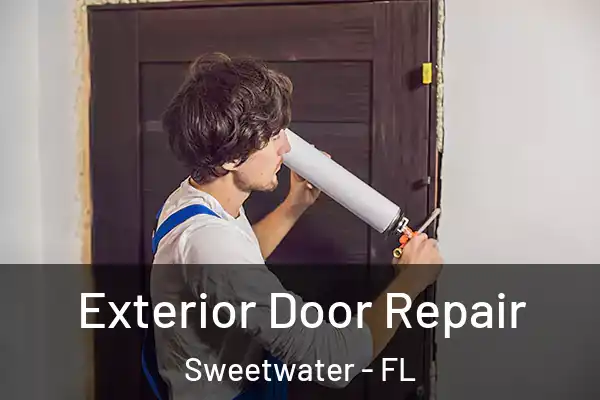 Exterior Door Repair Sweetwater - FL