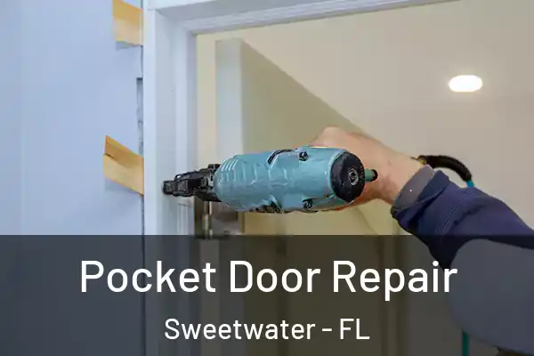 Pocket Door Repair Sweetwater - FL