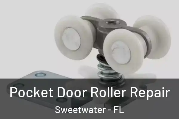 Pocket Door Roller Repair Sweetwater - FL